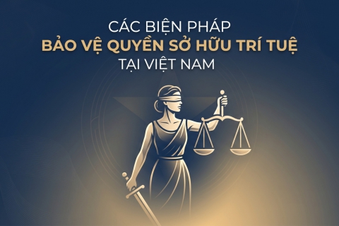 Bảo Vệ Quyền Sở Hữu Trí Tuệ Hợp Pháp Tại Việt Nam
